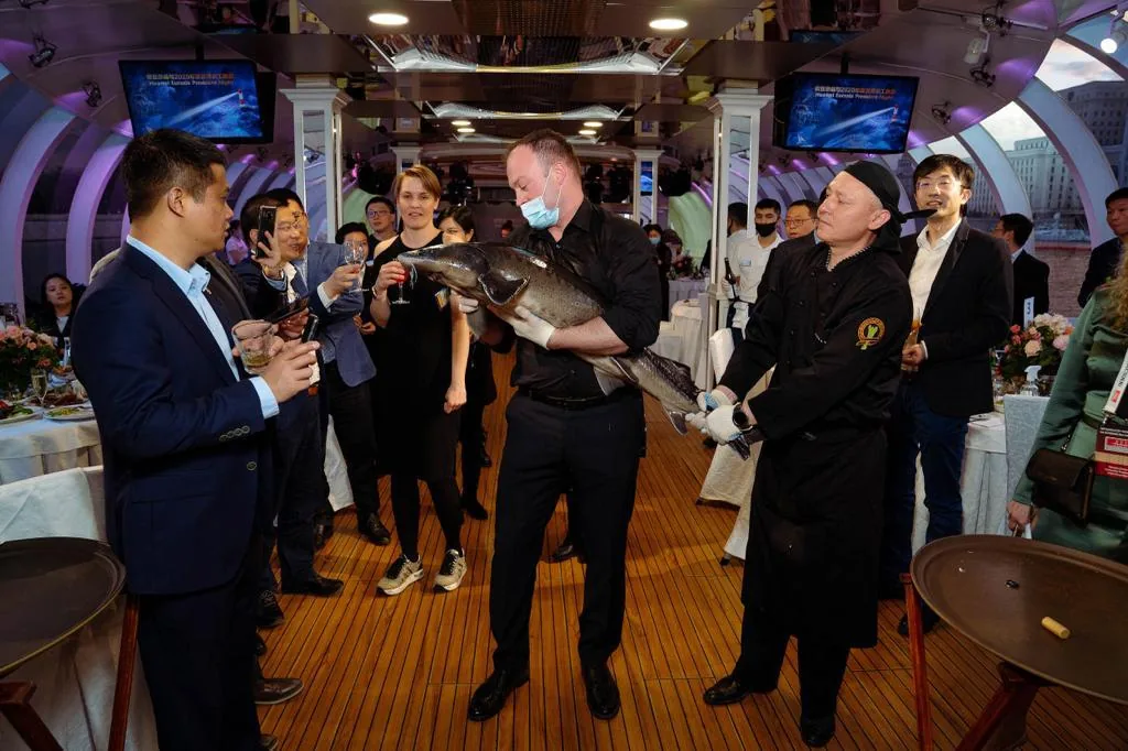 CAVIARSHOW — живой осётр